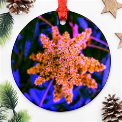 Yellow, Pink, And Blue Sumac Bloom Round Ornament (two Sides) by okhismakingart