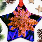 Yellow, Pink, and Blue Sumac Bloom Star Ornament (Two Sides) Back