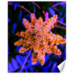 Yellow, Pink, And Blue Sumac Bloom Canvas 16  X 20  by okhismakingart