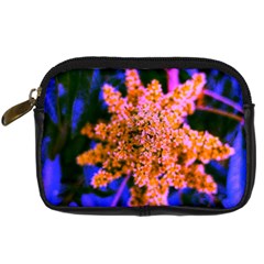 Yellow, Pink, And Blue Sumac Bloom Digital Camera Leather Case by okhismakingart