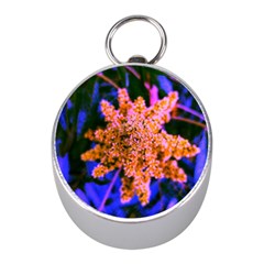 Yellow, Pink, And Blue Sumac Bloom Mini Silver Compasses by okhismakingart