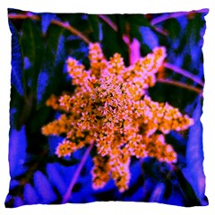 Yellow, Pink, And Blue Sumac Bloom Standard Flano Cushion Case (two Sides) by okhismakingart