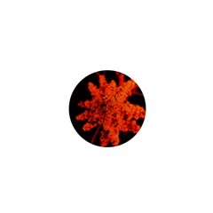 Orange Sumac Bloom 1  Mini Magnets by okhismakingart