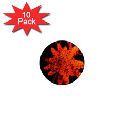 Orange Sumac Bloom 1  Mini Magnet (10 Pack)  by okhismakingart