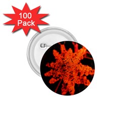 Orange Sumac Bloom 1 75  Buttons (100 Pack)  by okhismakingart