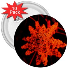 Orange Sumac Bloom 3  Buttons (10 Pack)  by okhismakingart