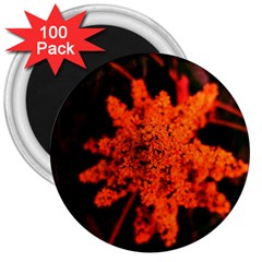 Orange Sumac Bloom 3  Magnets (100 Pack) by okhismakingart