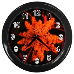 Orange Sumac Bloom Wall Clock (black) by okhismakingart