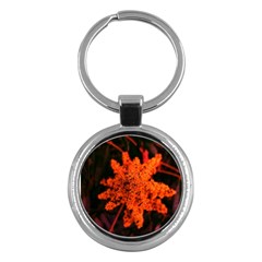 Orange Sumac Bloom Key Chains (round)  by okhismakingart