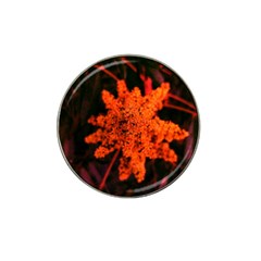 Orange Sumac Bloom Hat Clip Ball Marker (4 Pack) by okhismakingart