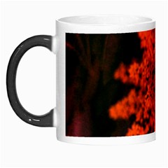 Orange Sumac Bloom Morph Mugs by okhismakingart