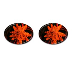 Orange Sumac Bloom Cufflinks (oval) by okhismakingart