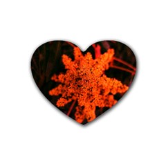 Orange Sumac Bloom Heart Coaster (4 Pack)  by okhismakingart