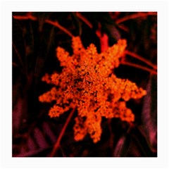 Orange Sumac Bloom Medium Glasses Cloth by okhismakingart