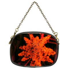 Orange Sumac Bloom Chain Purse (two Sides) by okhismakingart