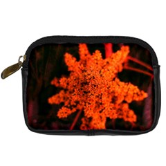 Orange Sumac Bloom Digital Camera Leather Case by okhismakingart