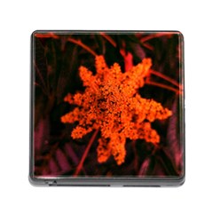 Orange Sumac Bloom Memory Card Reader (square 5 Slot) by okhismakingart