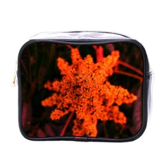 Orange Sumac Bloom Mini Toiletries Bag (one Side)