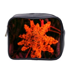 Orange Sumac Bloom Mini Toiletries Bag (two Sides) by okhismakingart