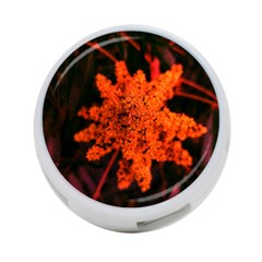 Orange Sumac Bloom 4-port Usb Hub (two Sides) by okhismakingart