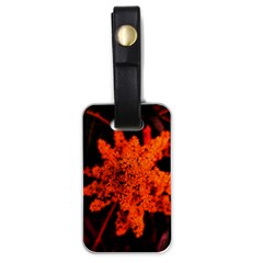 Orange Sumac Bloom Luggage Tags (one Side)  by okhismakingart