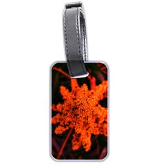 Orange Sumac Bloom Luggage Tags (two Sides) by okhismakingart