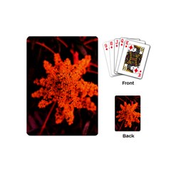 Orange Sumac Bloom Playing Cards (mini) by okhismakingart