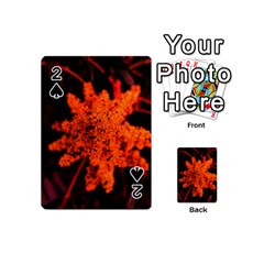 Orange Sumac Bloom Playing Cards 54 (mini) by okhismakingart