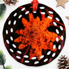 Orange Sumac Bloom Ornament (round Filigree) by okhismakingart