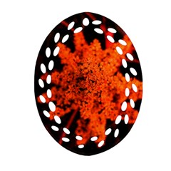 Orange Sumac Bloom Ornament (oval Filigree) by okhismakingart