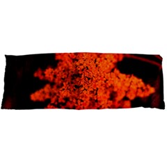 Orange Sumac Bloom Body Pillow Case Dakimakura (two Sides) by okhismakingart