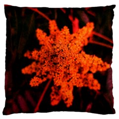 Orange Sumac Bloom Large Cushion Case (two Sides) by okhismakingart