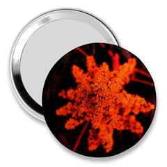 Orange Sumac Bloom 3  Handbag Mirrors by okhismakingart