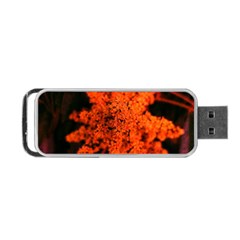 Orange Sumac Bloom Portable Usb Flash (two Sides) by okhismakingart