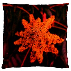 Orange Sumac Bloom Standard Flano Cushion Case (one Side) by okhismakingart