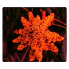 Orange Sumac Bloom Double Sided Flano Blanket (small)  by okhismakingart