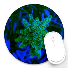 Blue And Green Sumac Bloom Round Mousepads by okhismakingart