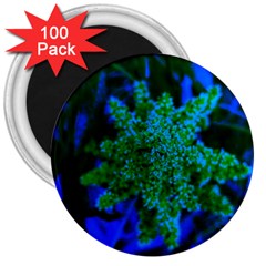 Blue And Green Sumac Bloom 3  Magnets (100 Pack) by okhismakingart