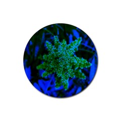 Blue And Green Sumac Bloom Rubber Round Coaster (4 Pack)  by okhismakingart