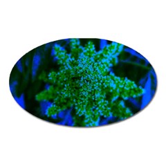 Blue And Green Sumac Bloom Oval Magnet by okhismakingart