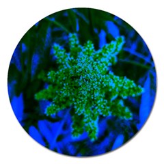 Blue And Green Sumac Bloom Magnet 5  (round) by okhismakingart