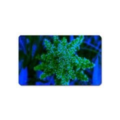 Blue And Green Sumac Bloom Magnet (name Card) by okhismakingart