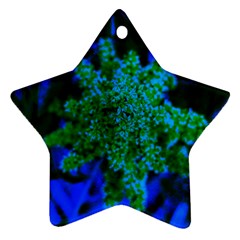 Blue And Green Sumac Bloom Star Ornament (two Sides) by okhismakingart