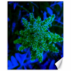 Blue And Green Sumac Bloom Canvas 16  X 20  by okhismakingart