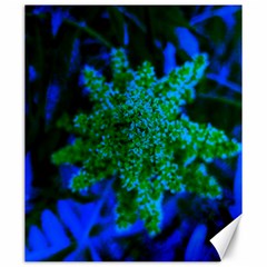 Blue And Green Sumac Bloom Canvas 20  X 24  by okhismakingart