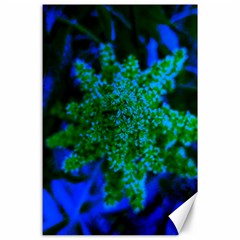 Blue And Green Sumac Bloom Canvas 24  X 36  by okhismakingart