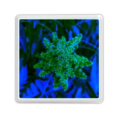 Blue And Green Sumac Bloom Memory Card Reader (square)