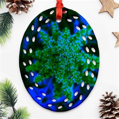 Blue And Green Sumac Bloom Oval Filigree Ornament (two Sides) by okhismakingart