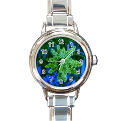 Lime Green Sumac Bloom Round Italian Charm Watch by okhismakingart