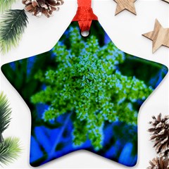 Lime Green Sumac Bloom Ornament (star) by okhismakingart